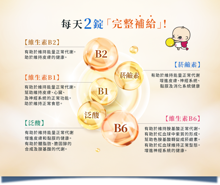 每天2錠完整補給