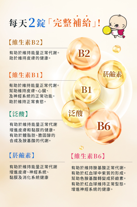 每天2錠完整補給
